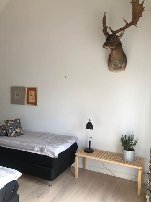 Cozy, Quiet Guest House Perfect For Business Or Pleasure Hillerod Luaran gambar